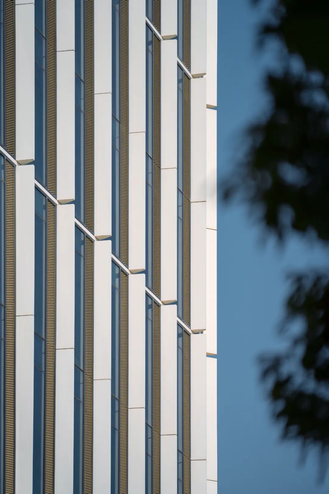 德系大师,德大师设计