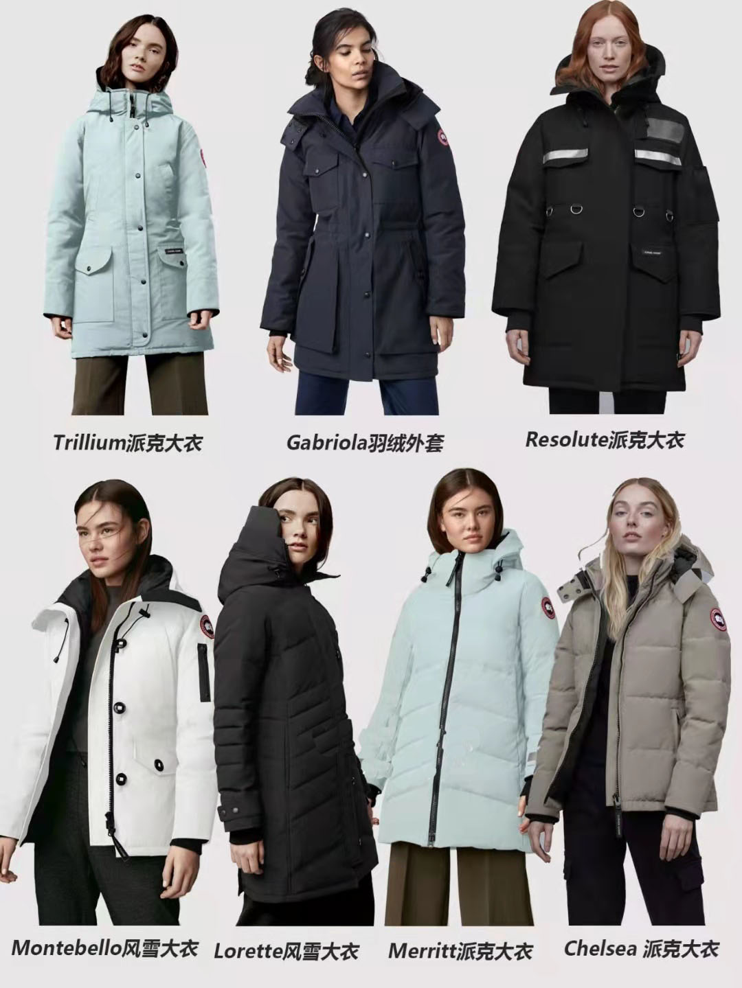 加拿大鹅北面始祖鸟羽绒服,始祖鸟和加拿大鹅哪个高档