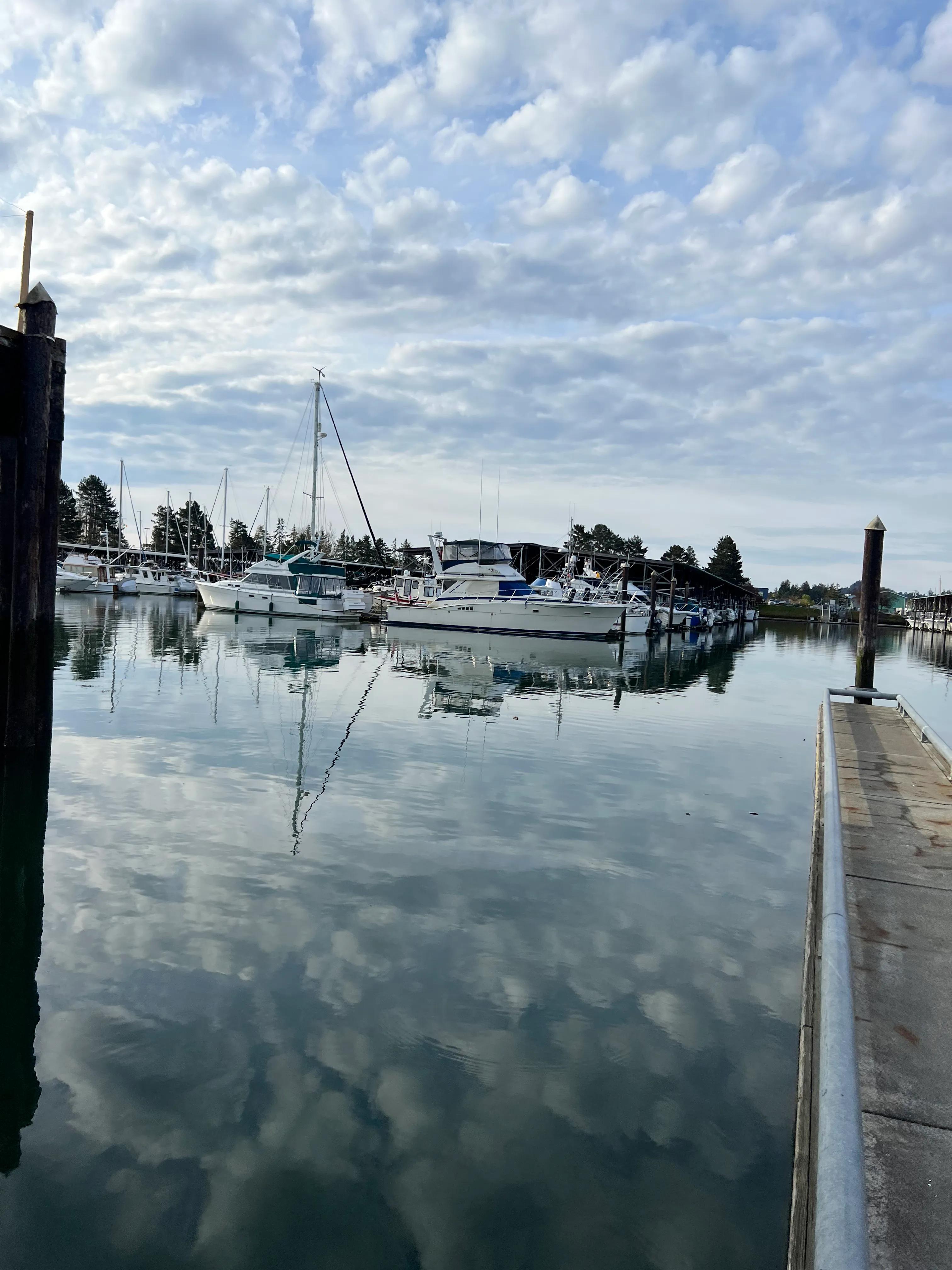 美国签证evus填写指南,美国签证evus填写攻略