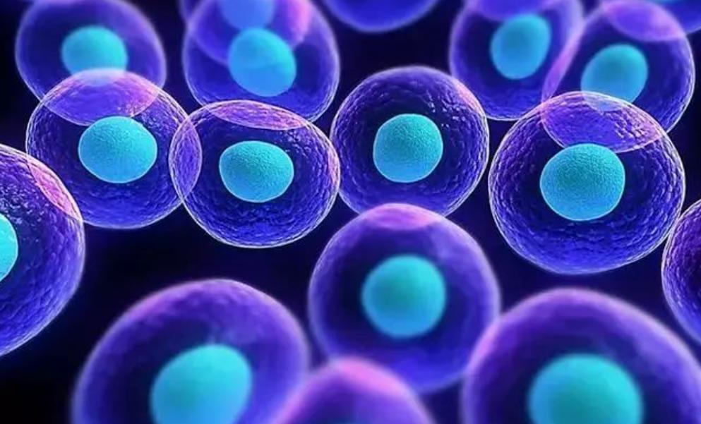 年纪轻轻阳痿怎么治,治疗阳痿缺哪种营养