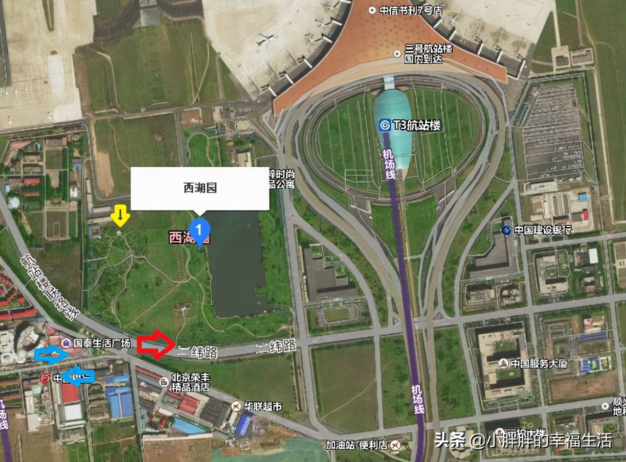 在哪里可以看飞机近距离,哪里可以近距离看到飞机