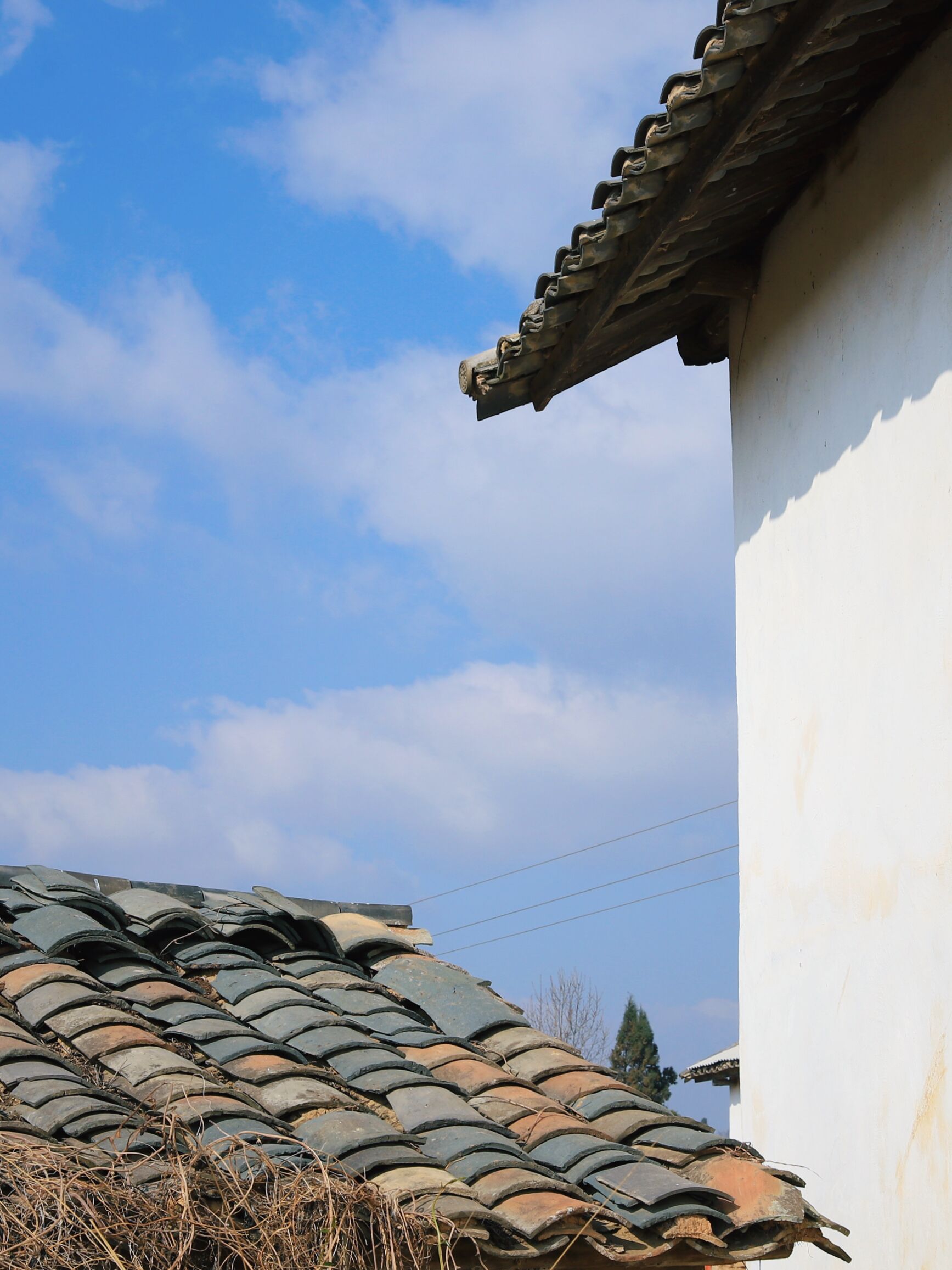 云南租村子当村长,云南向全国招募村长