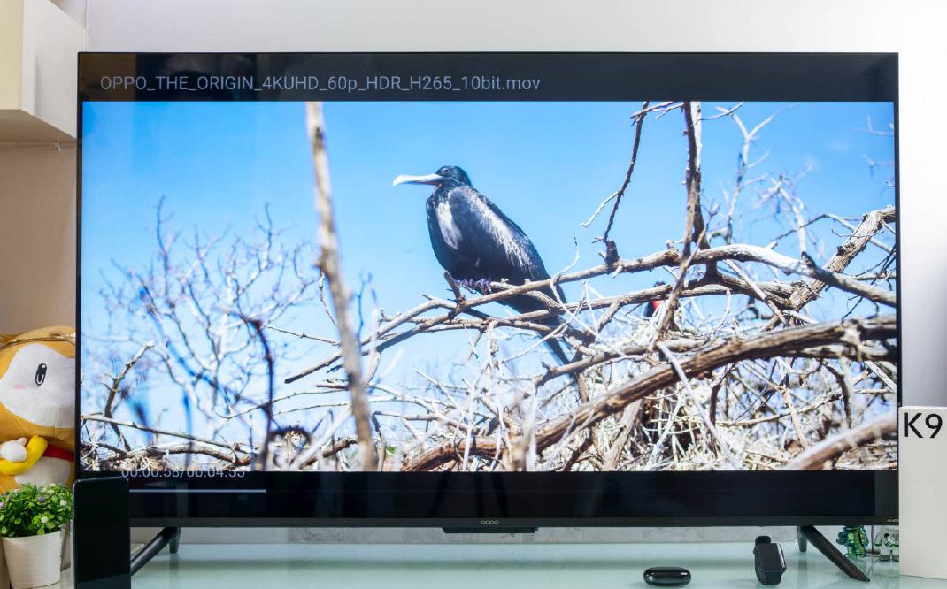 电视屏幕和显示器屏幕的区别,电视屏幕差异有哪些