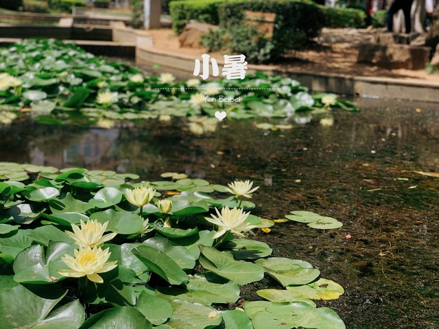 小暑节气农谚俗语,小暑节气知识