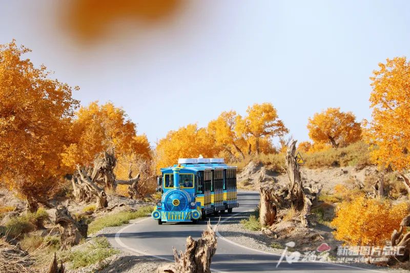 519旅游日景区半价活动,519中国旅游日北京免费景点