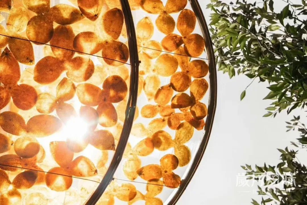 夏天喝什么陈皮白茶,茶友必备茶具