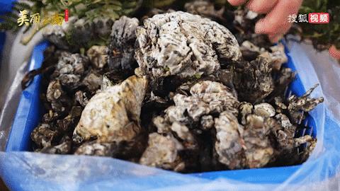 云南好吃的野生菌有哪些,云南野生菌最好吃的哪几种