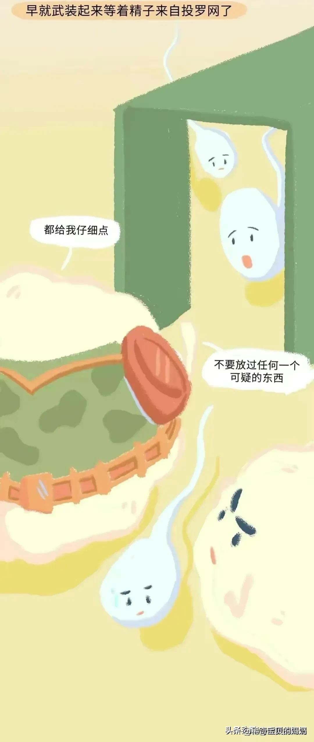 小蝌蚪漫画,科普知识小蝌蚪怎么成长为青蛙