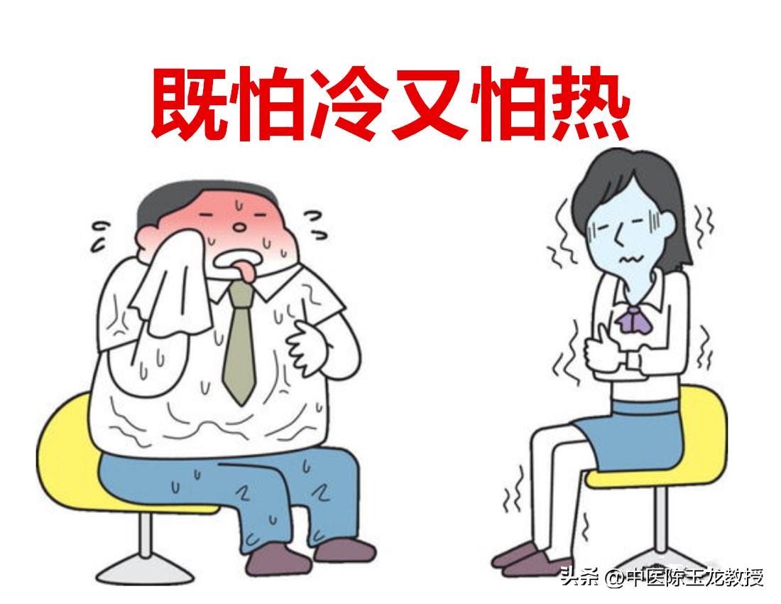 肾好百病消是真的吗,用什么中药泡水可以补肾阳