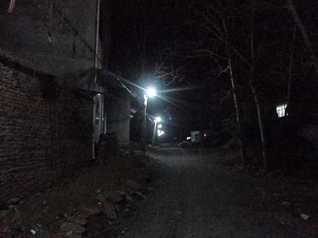 96年海南巨蟒为报恩甘愿当保姆,巨蟒为报恩守护十几年