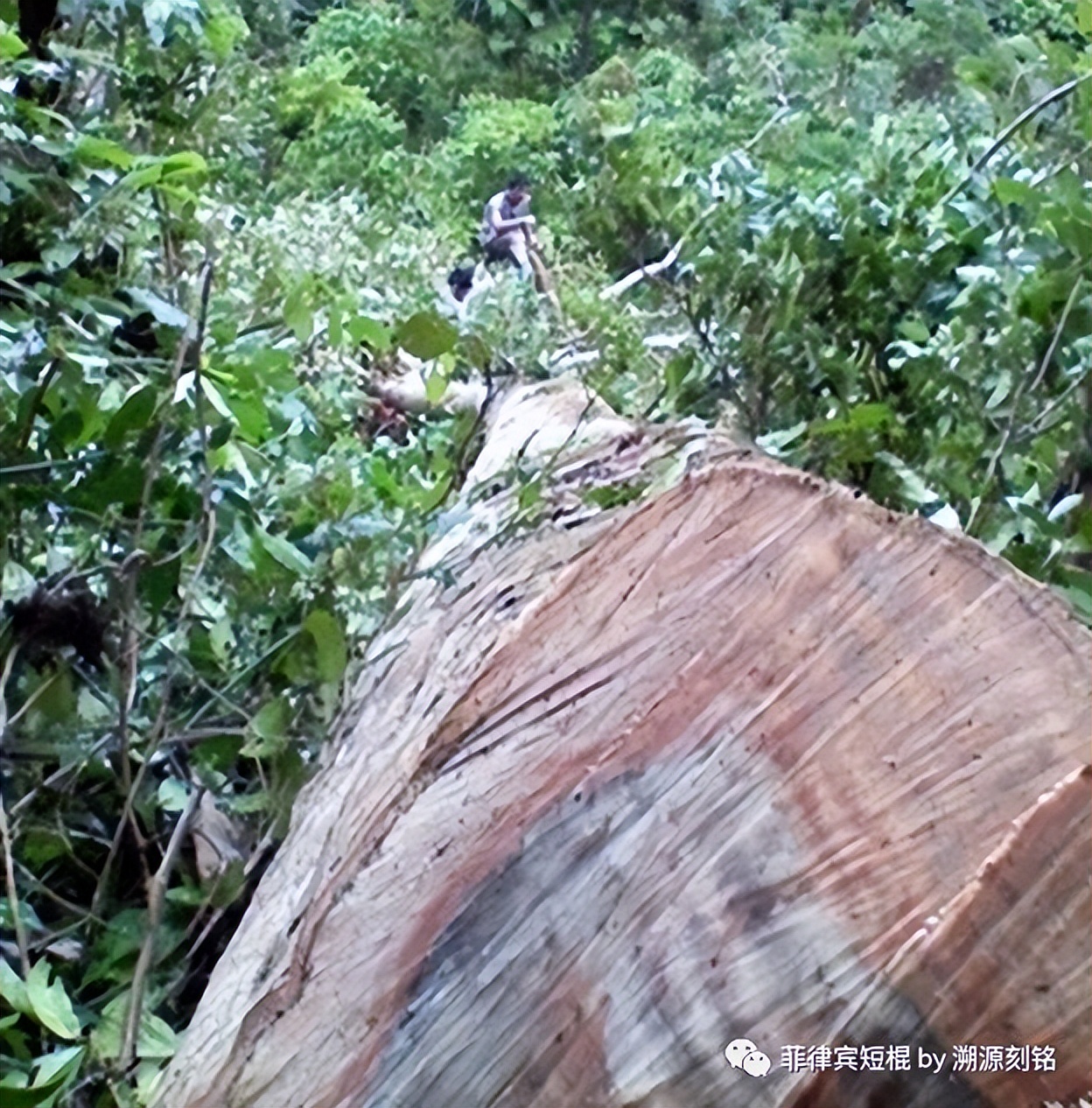 菲律宾短棍什么材质好,菲律宾短棍和中国少林棍