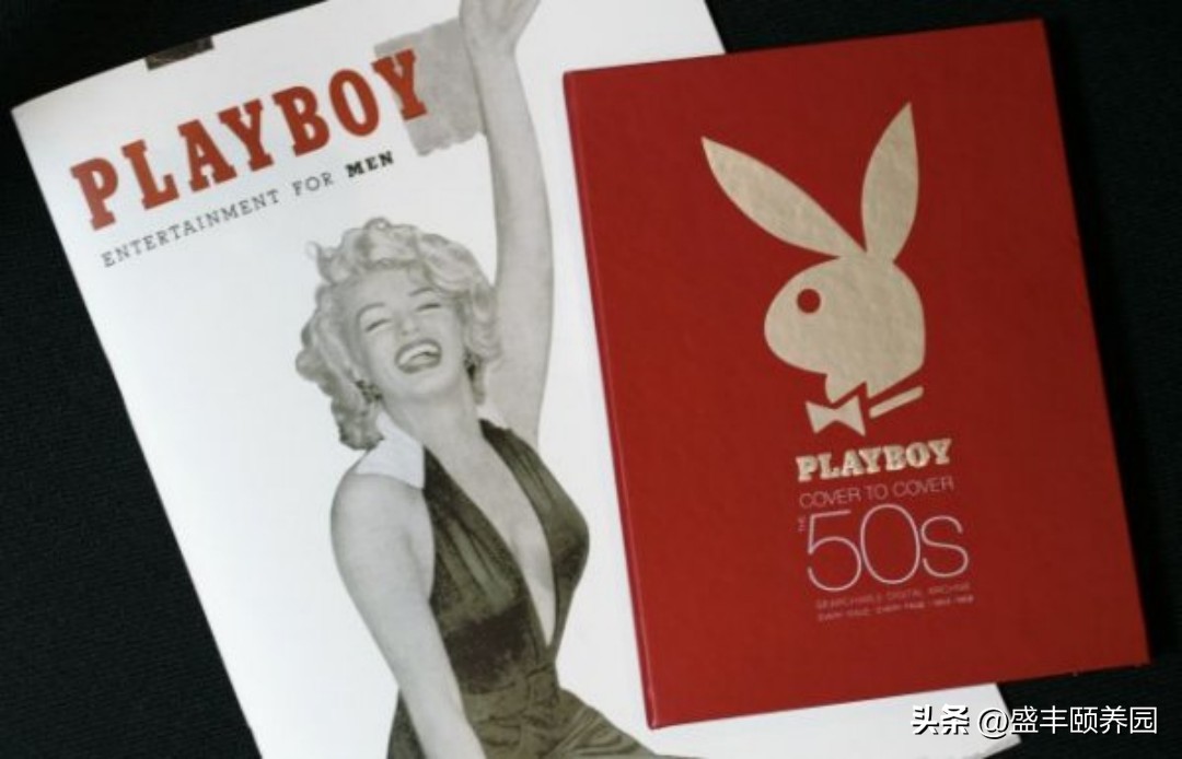 情色江湖霸主之争｜《花花公子》《阁楼》杂志历经40年*虎斗龙**