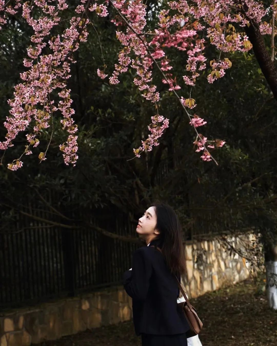 成都有哪些公园值得一去,成都必去的公园排行榜最新名单