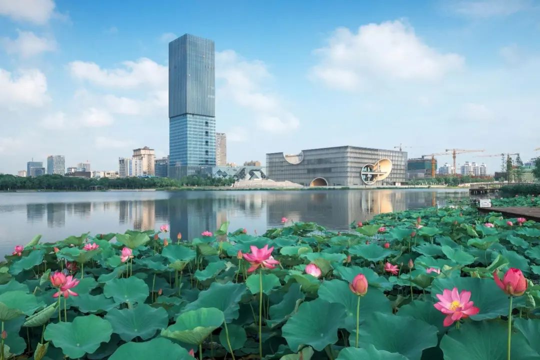 上海郊游一览表,上海郊游