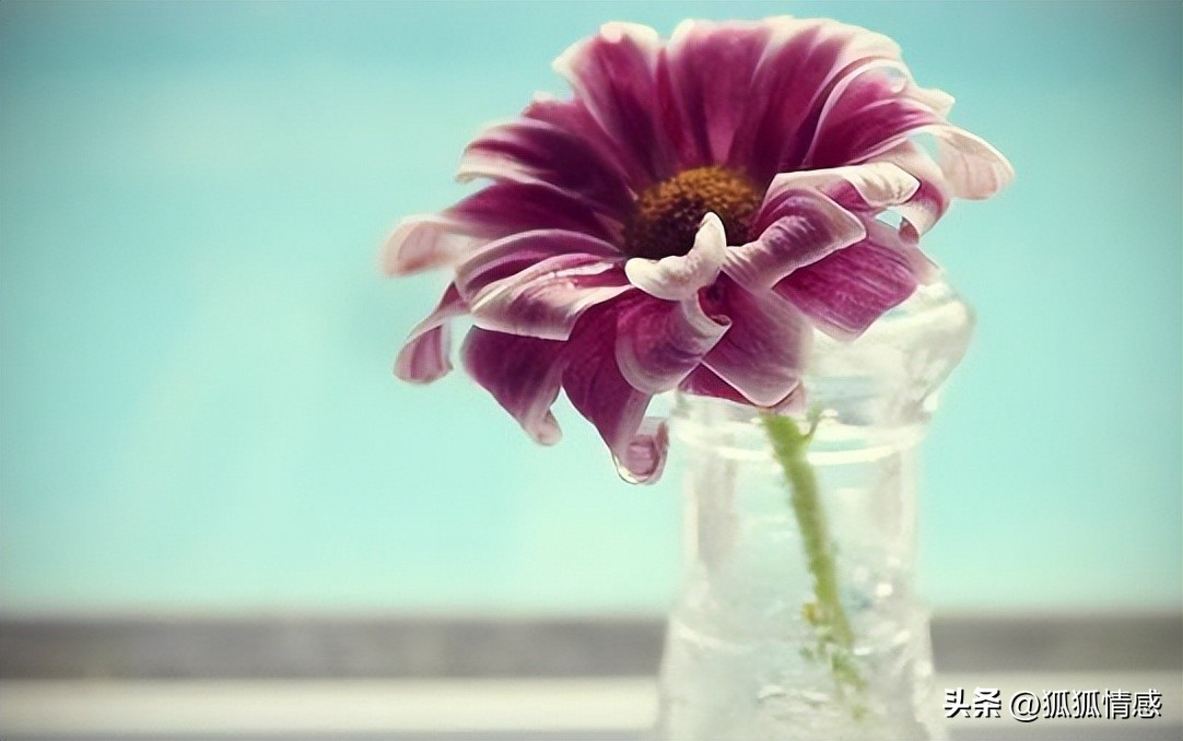 伤感失望说说适合发朋友圈,伤感说说适合发朋友圈扎心短句