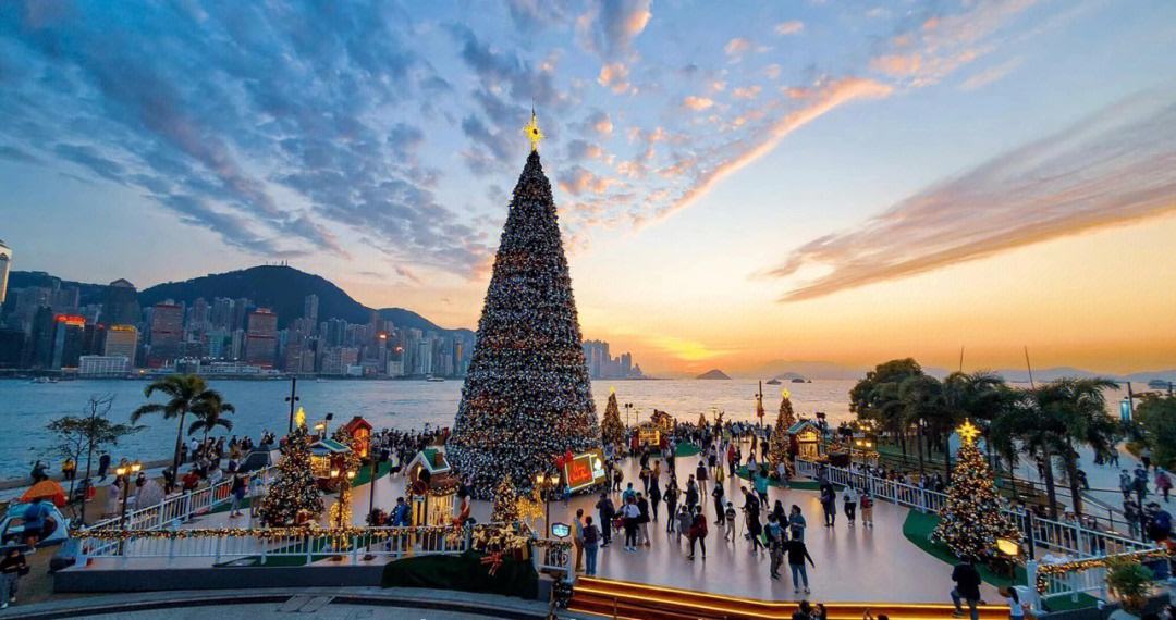 香港保险的分红实现率对比,香港保险真实分红