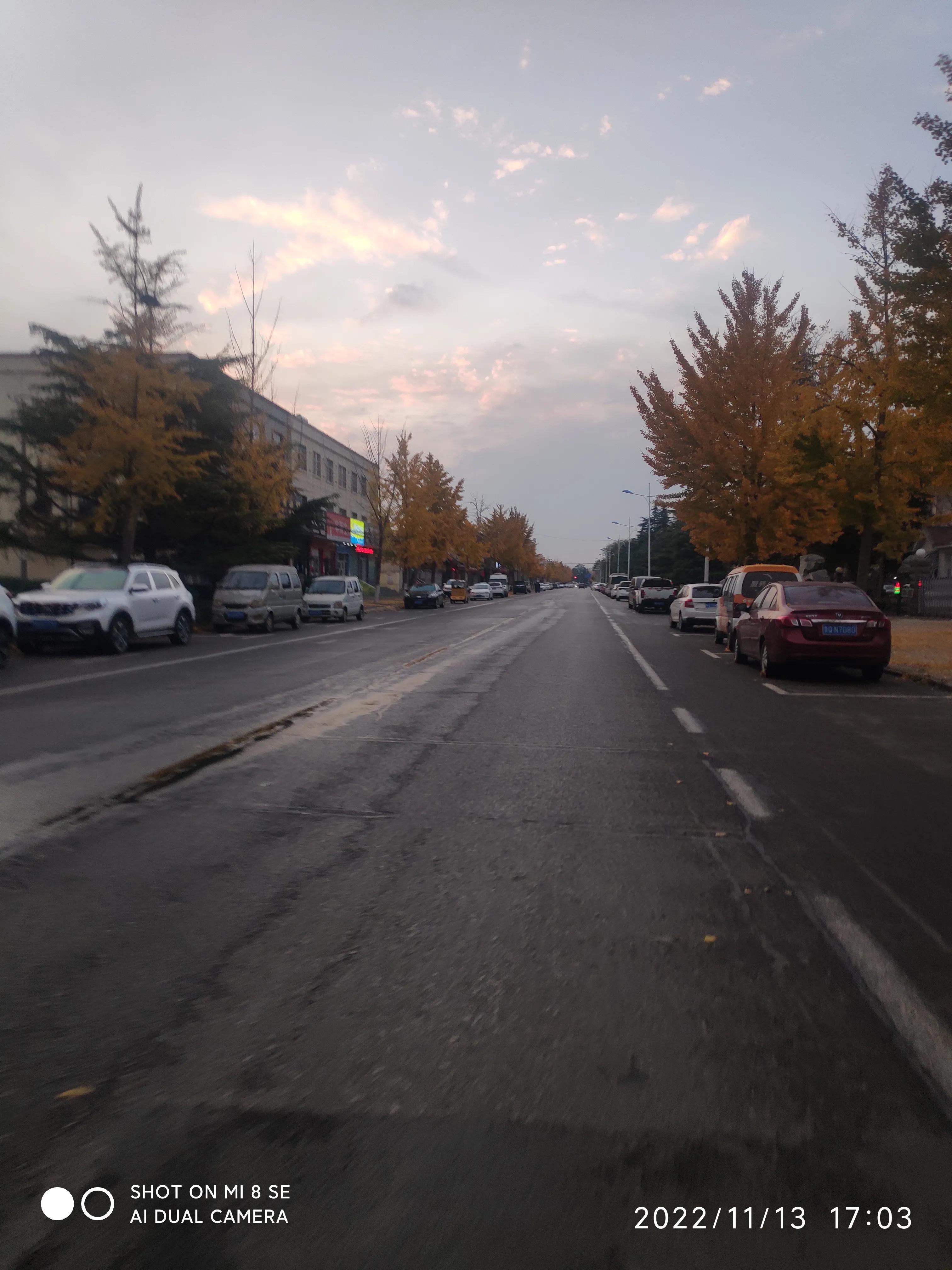 解封帖,解封记录怎么查