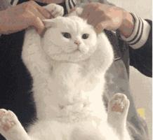 天津最好的私人公园,天津小众拍照圣地