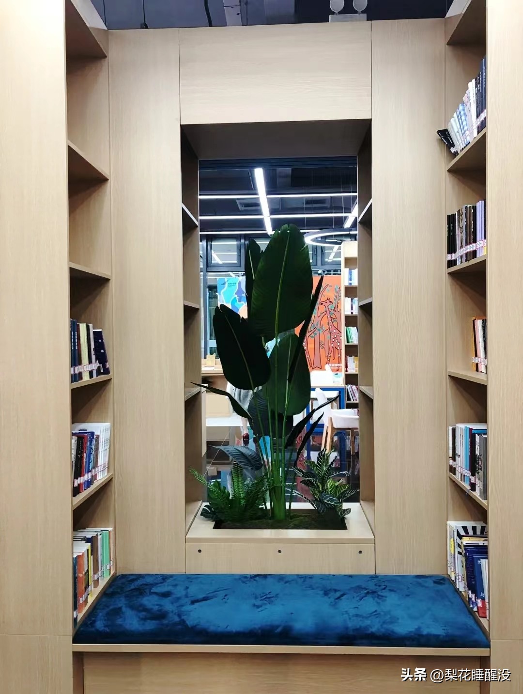 周末陪娃读书,放假了陪着孩子好好玩玩