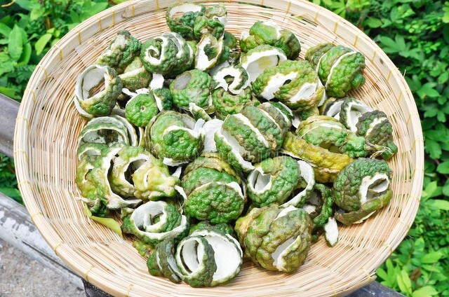 蚂蟥被人吃进去会如何,误食蚂蟥多久会有反应