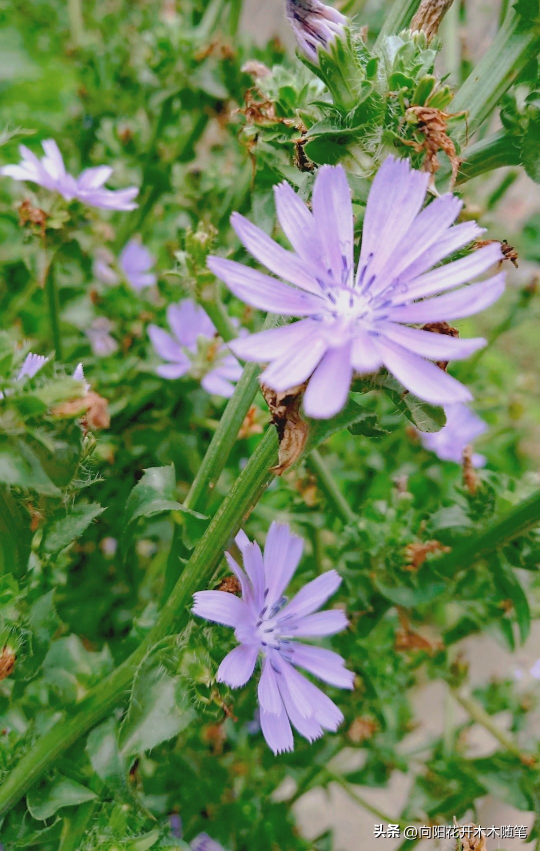 浦东美食排行榜茶餐厅,浦东高级美食排行榜
