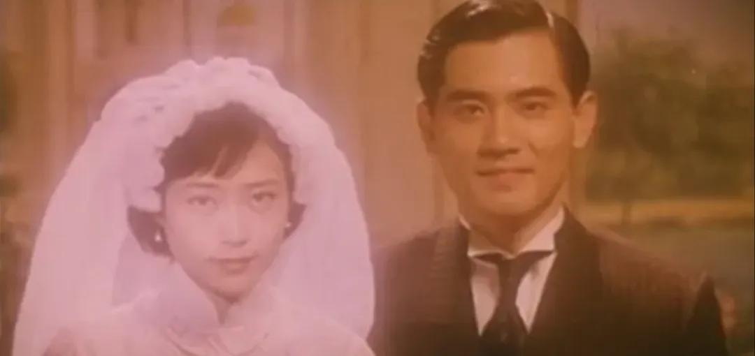 红玫瑰与白玫瑰低到尘埃里的爱情,红玫瑰白玫瑰都是心头的刺