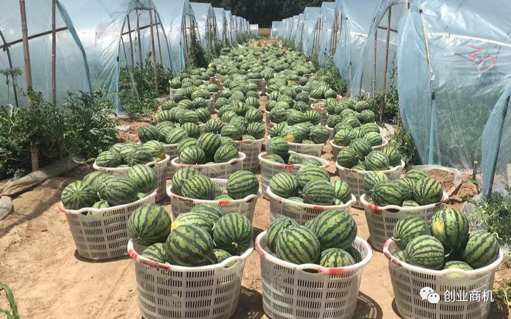 夫妻做什么加工赚钱,农村加工冷门创业项目