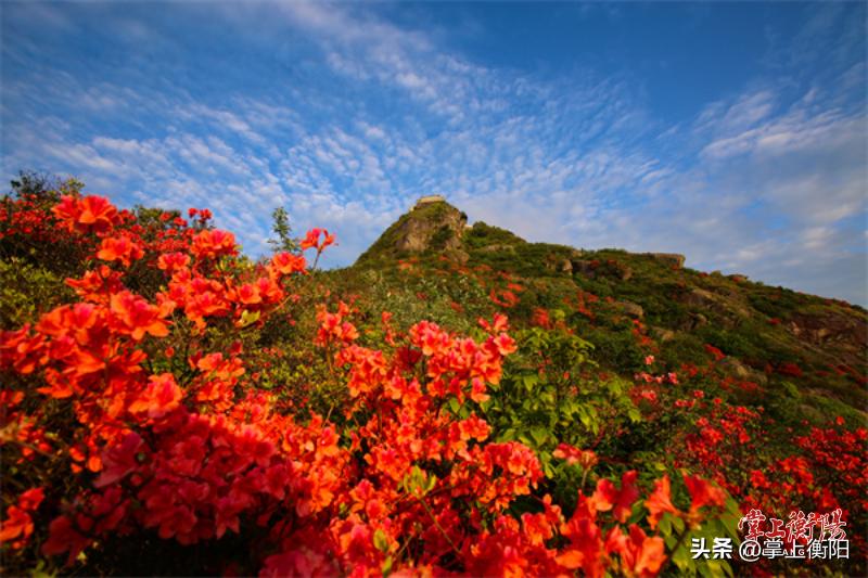民医扁鹊康养馆湖南衡阳,衡阳康养中心