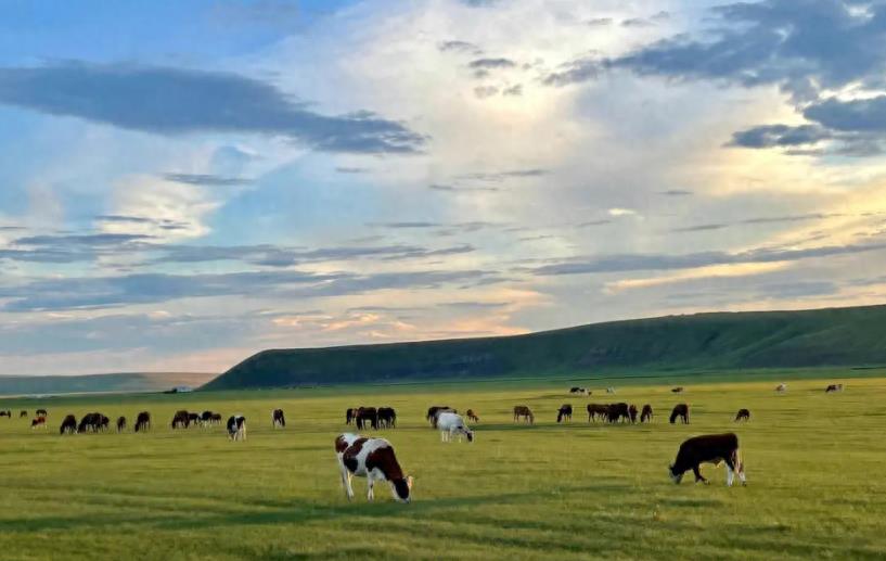 内蒙3大失败酒，辉煌时万家共饮，名扬四海如今因内卷走不出当地