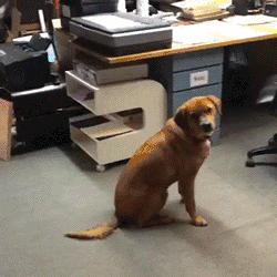 飞盘5分钟，拍照两小时！详扒“飞盘媛”背后的产业链