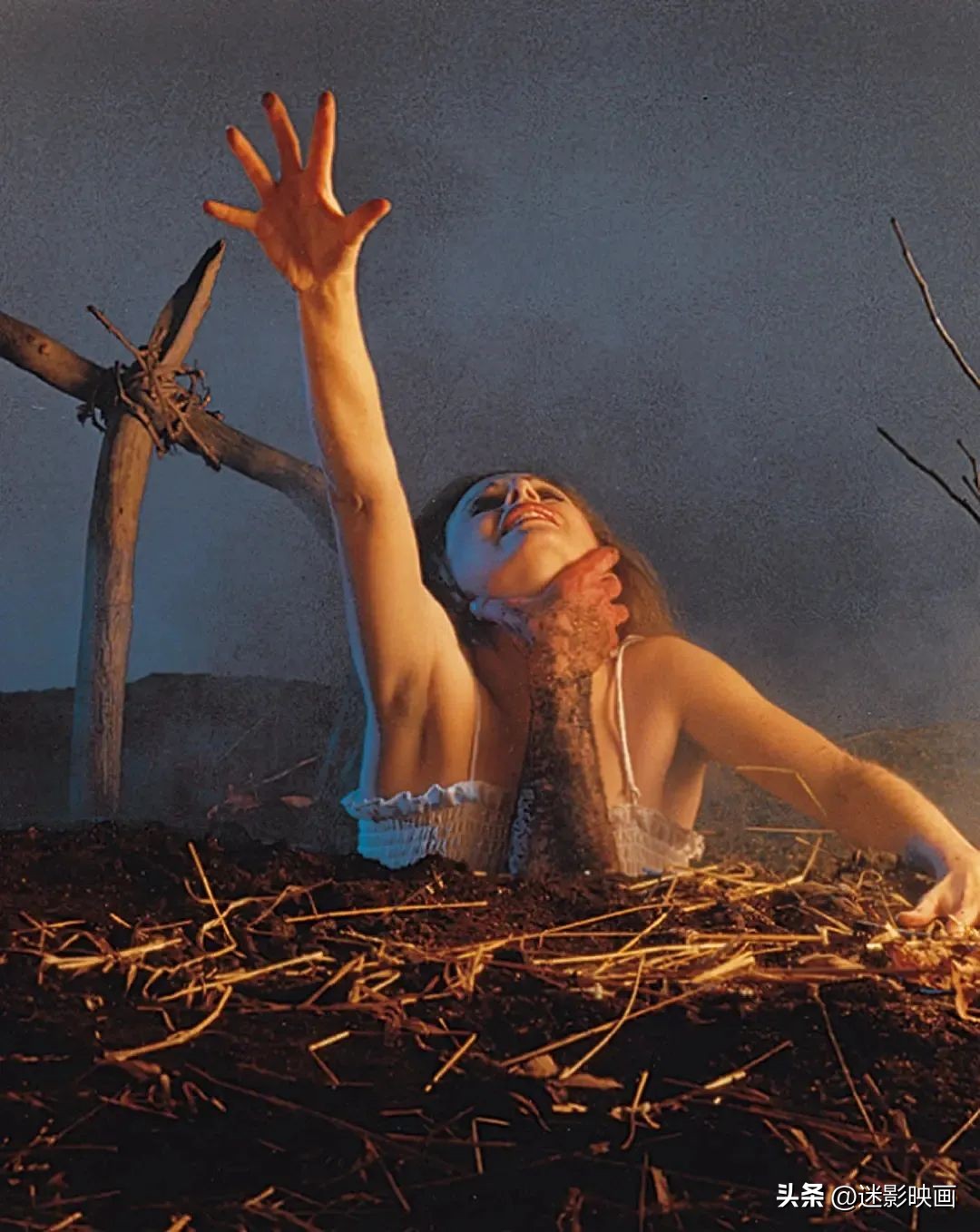 一部生猛刺激的惊悚片,生猛刺激的惊悚片