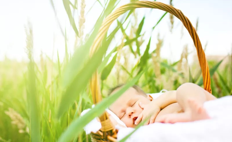 照顾新生儿的最佳方法,如何照顾新生儿三多三勤4不要