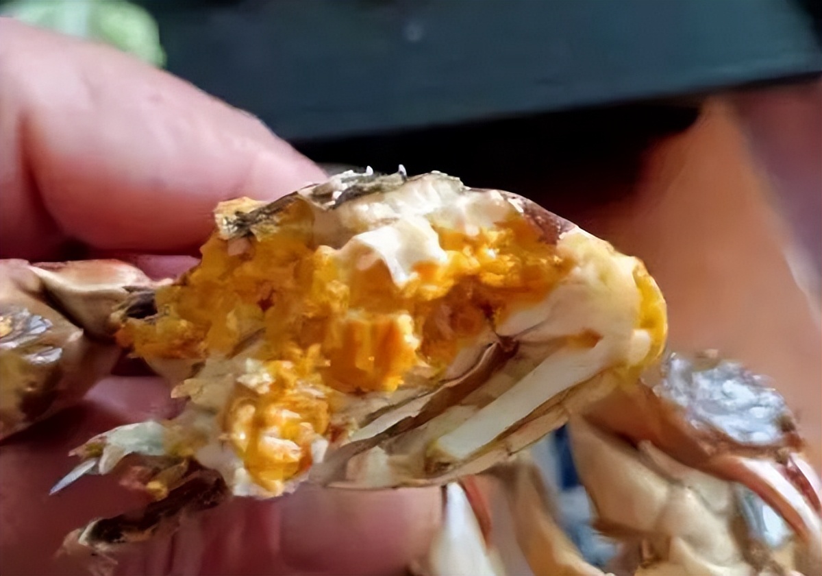 死掉的大闸蟹到底有多毒,大闸蟹买的活的到家死了还能吃吗