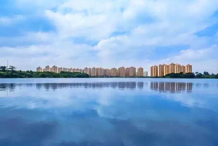 作家菡萏的散文,作家菡萏的美文