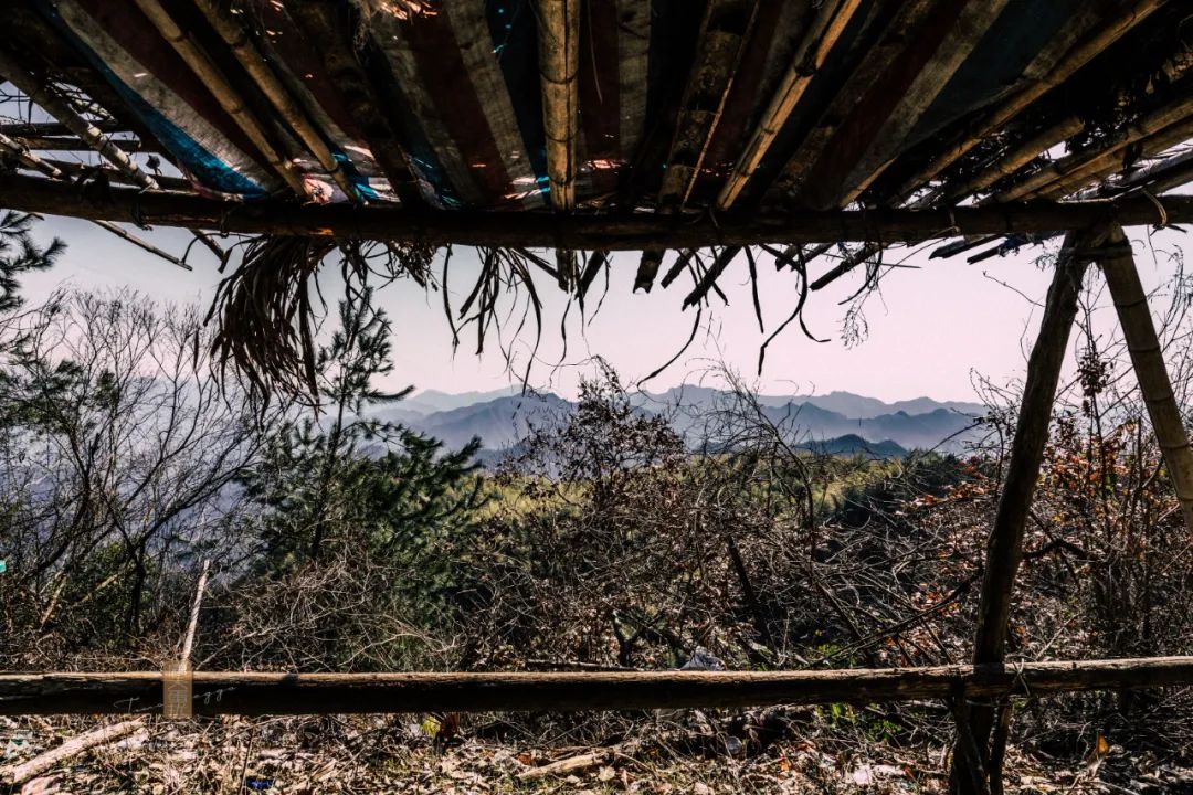 鍏泜绉樺,浠欏眳鍏泜绉樺