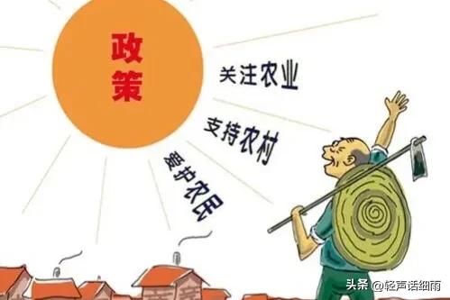 农村三农自媒体扶持政策趋势,农村成立公司有没有政策扶持