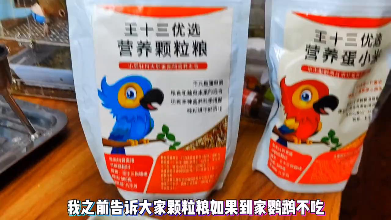 鹦鹉颗粒粮是什么粮啊,如何让鹦鹉吃颗粒粮