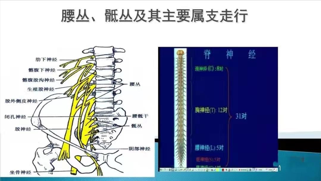 真正好的腰椎间盘突出治疗方法,腰椎间盘突出不做有效治疗的后果