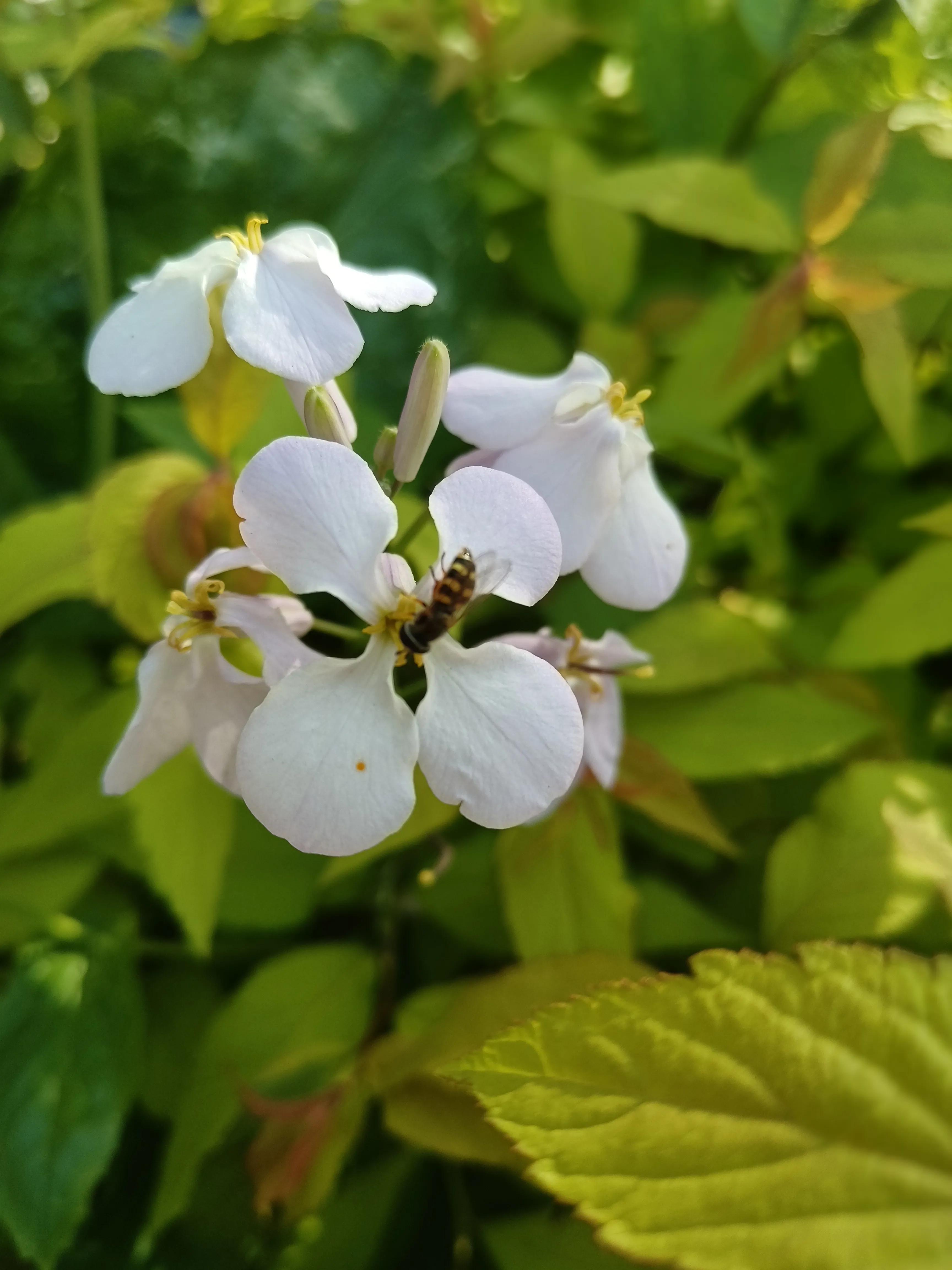 古汉语基础知识汇总,古代汉语趣味