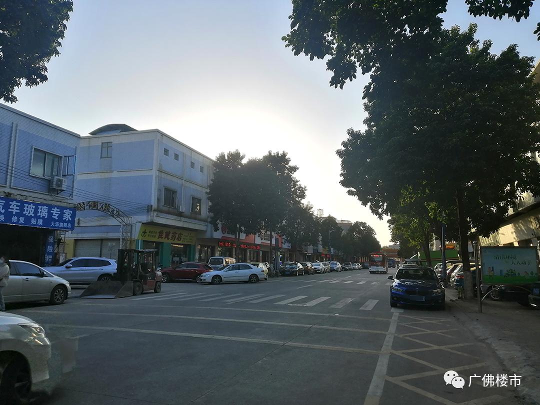 灯湖北延：贴地飞行、佛系养生、烂尾重组？投资客都看好这里？