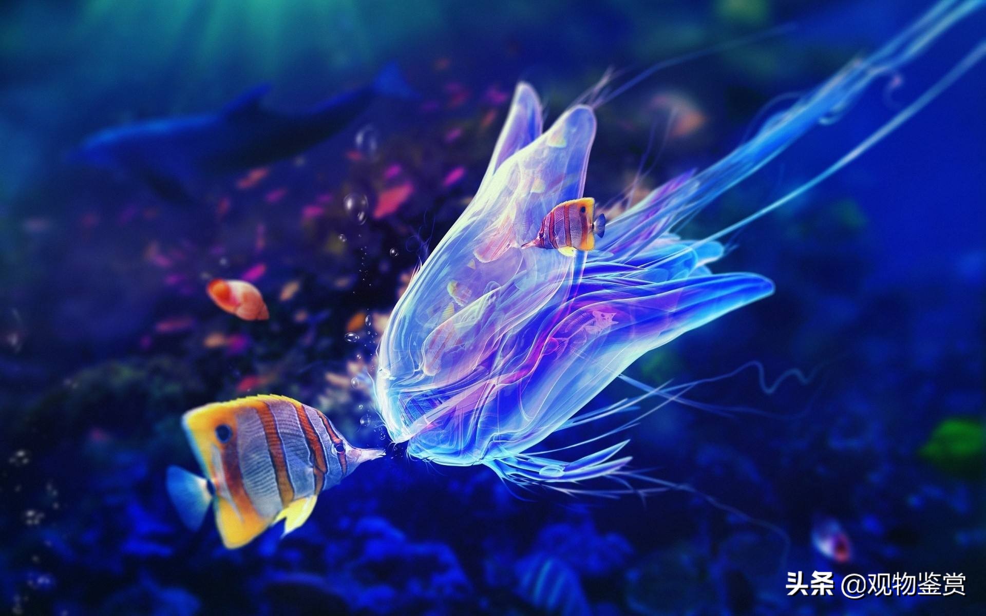 热带鱼为什么无缘无故死掉,热带鱼为什么生不下来就会死掉