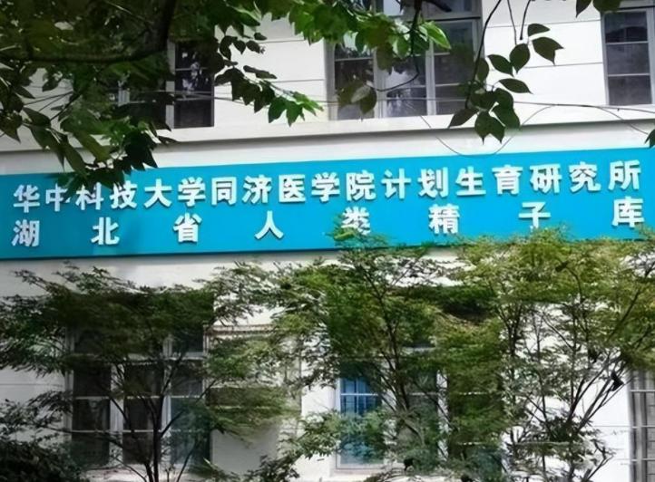 博士11天捐5次精子死亡,武汉博士捐献器官