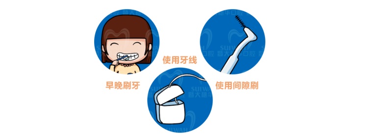 牙齿真的是被虫子吃掉的吗,牙齿是怎么进虫子的