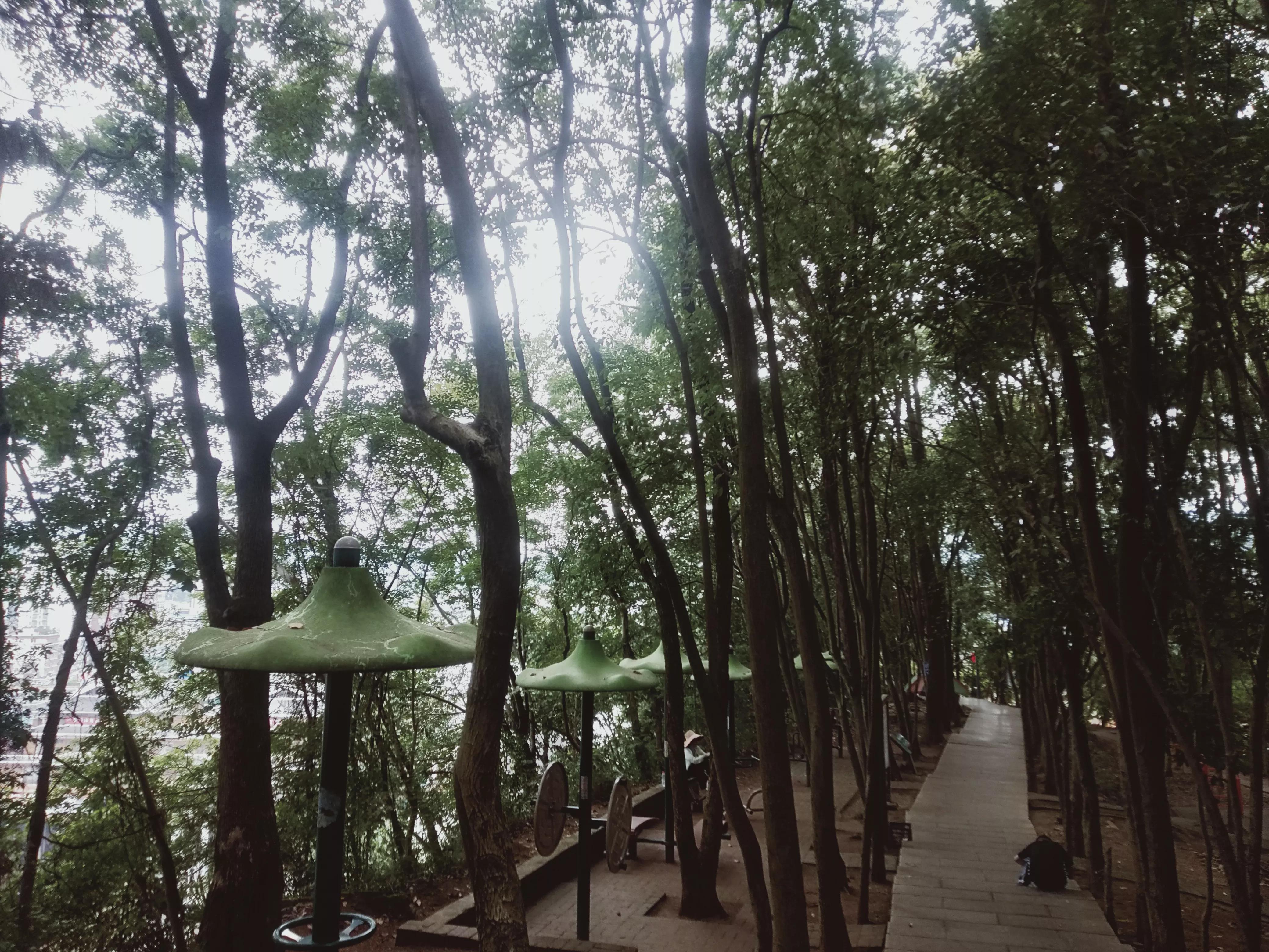 妗戞鏂硅█澶у叏,妗戞鏂硅█鐮旂┒