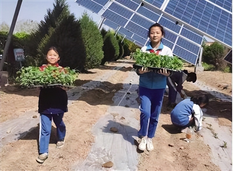 开发利用太阳能，种菜、养鱼、发电……银川通过“光伏+”模式高效发展产业守护绿水青山