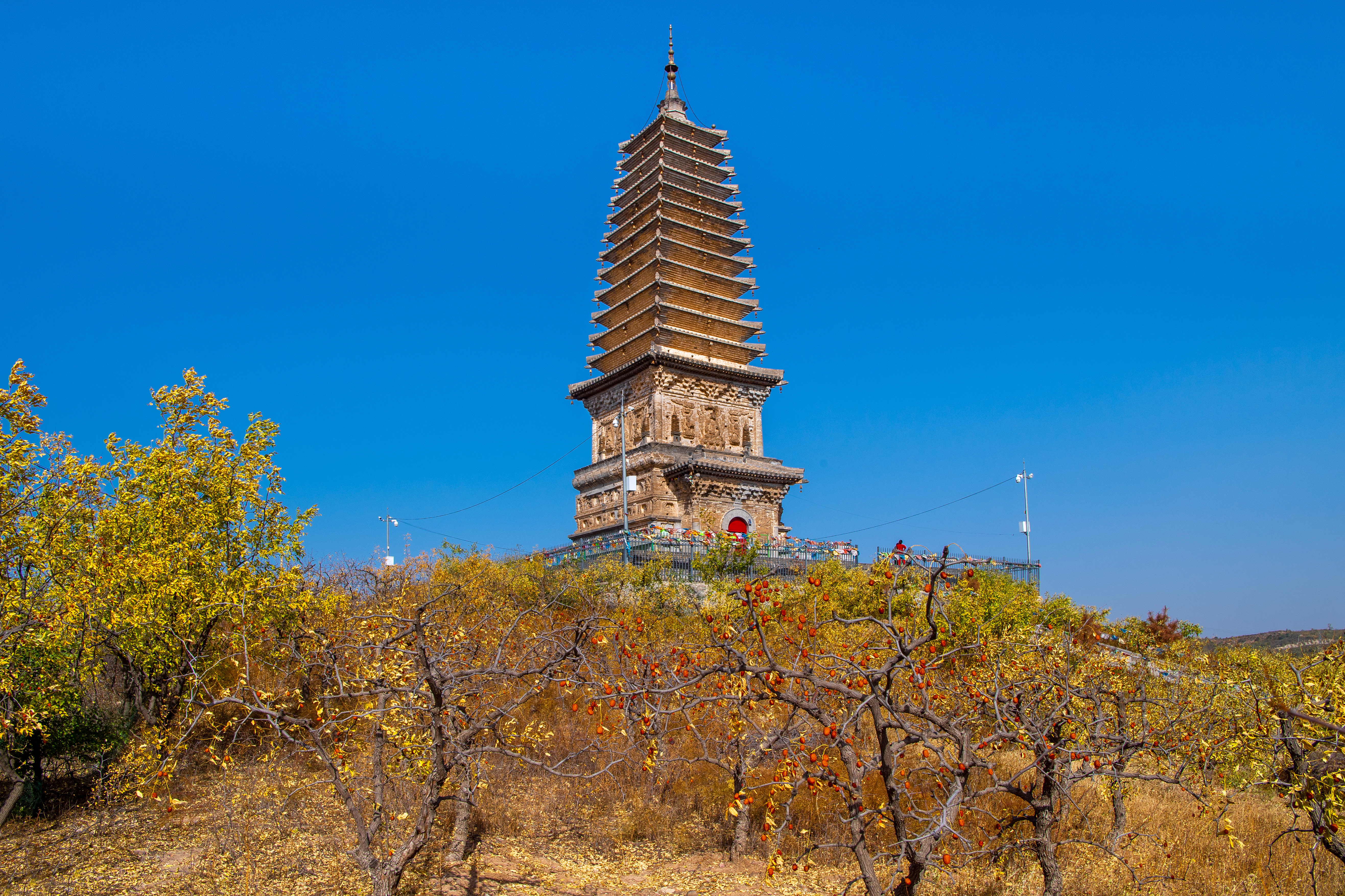 老许游记大全,老许游记第四天完整版