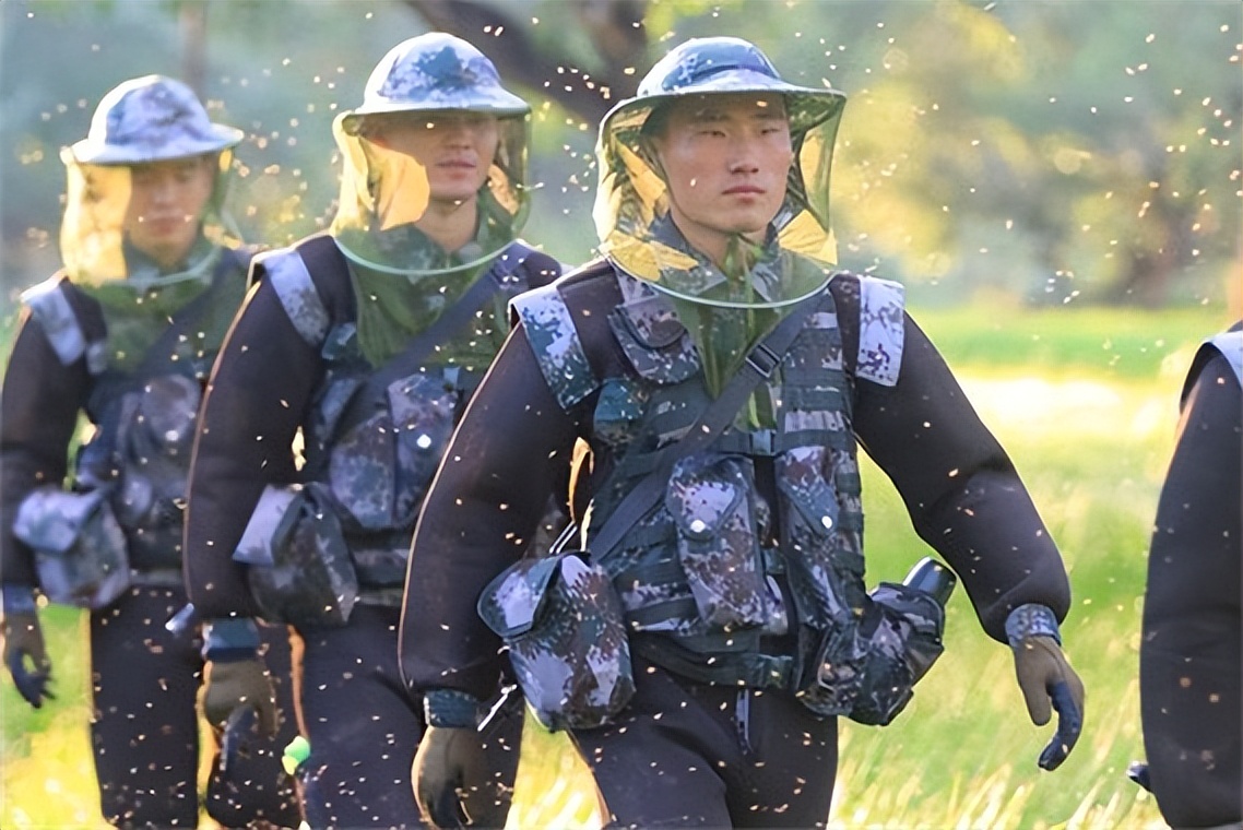 最危险边防区7条军犬,中国最惨烈的军犬