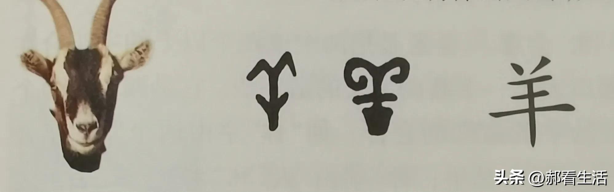 如何理解六书造字法,六书的造字法怎么区分
