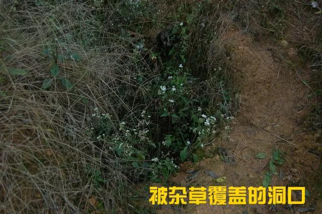 一群村民下葬后打开棺材发现诈尸,古宅挖出古尸