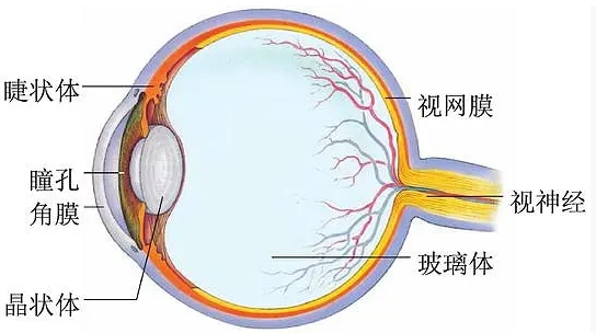 冷冷冷！断崖式的降温，护眼宝典快收藏！
